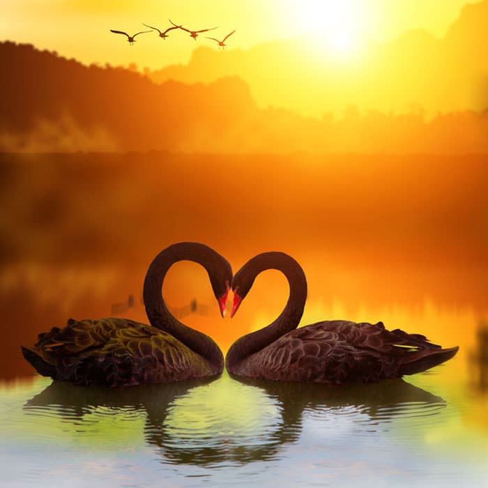 Venus Inconjunct Midheaven