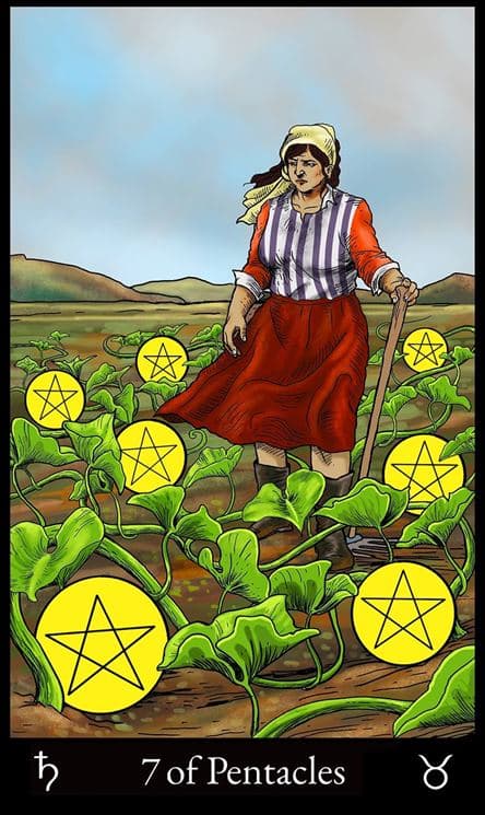 7 of Pentacles